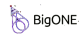 BigONE logo