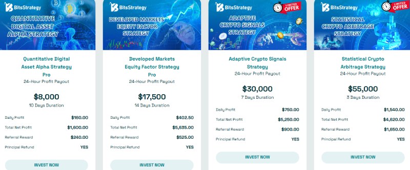 BitsStrategy