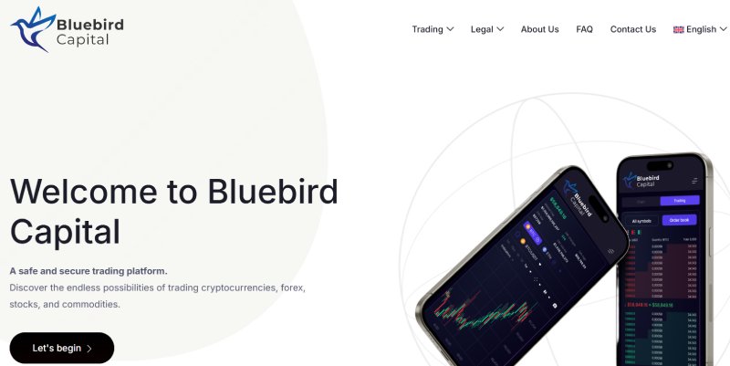Bluebird Capital