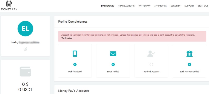 MoneyPayPortal