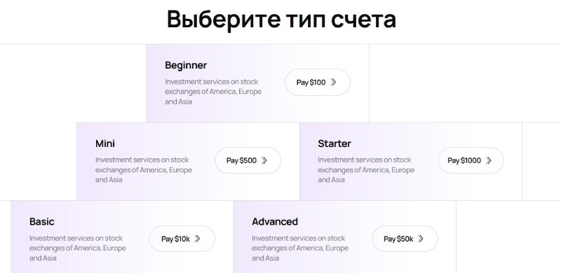 Market Securities (Dubai) Limited LTD