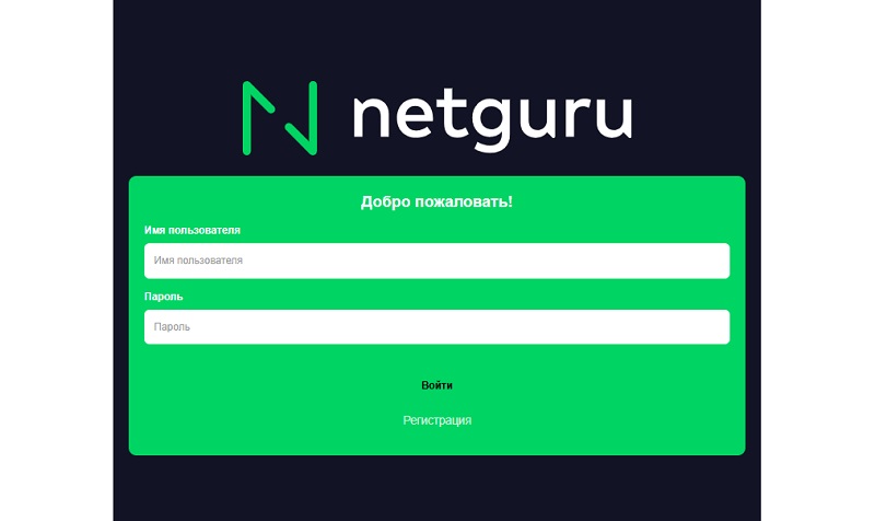 Netguruhoe