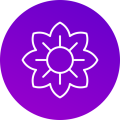 logo-company