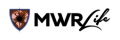 logo-company