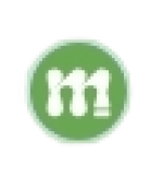 Mentorisy