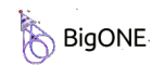 BigONE