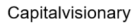 Capitalvisionary
