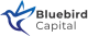 Bluebird Capital logo