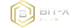 Bit-X Club logo