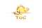 Turbo Global logo